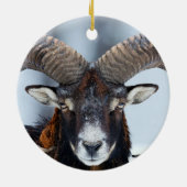 ビッグホーンラムヒツジ – Mouflon セラミックオーナメント (裏面)