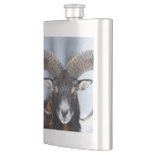 ビッグホーンラムヒツジ – Mouflon フラスク (左)