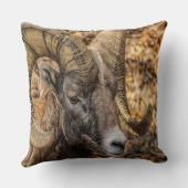 ビッグホーンラム クッション (裏面)