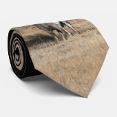 ビッグホーンラム ネクタイ (ロール)