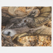 ビッグホーンラム フリースブランケット (正面(横))