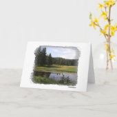 ビッグホーン山脈 カード (黄色い花)