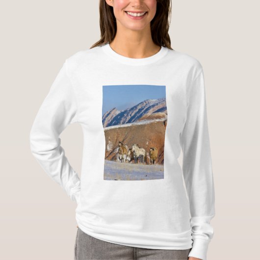 ビッグホーン山脈、走る馬 Tシャツ (正面)