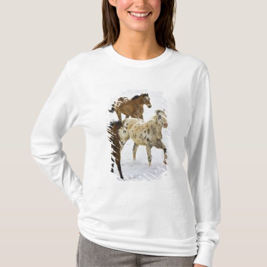 ビッグホーン山脈 雪の中を走る馬 Tシャツ (正面)