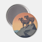 ビッグホーン羊アメリカ西部野生動物 マグネット (正面/裏面)