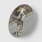 ビッグホーン羊 ラウンド壁時計 (傾斜)