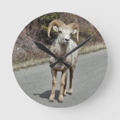ビッグホーン羊 ラウンド壁時計 (正面)