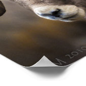 ビッグホーン・ブラザーズ ポスター (角)