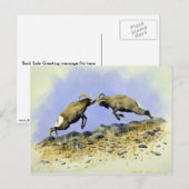 ビッグホーン ポストカード (正面/裏面)