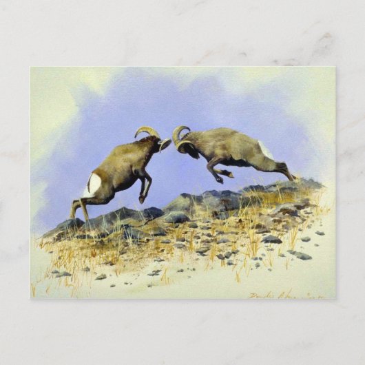 ビッグホーン ポストカード (正面)