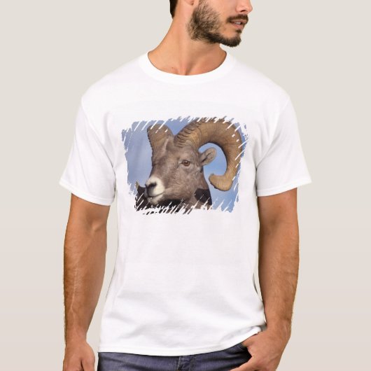 ビッグホーン Tシャツ (正面)