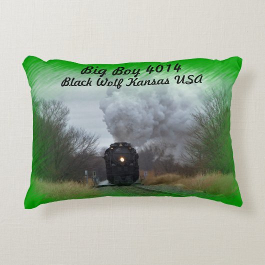ビッグボーイ4014 アクセントクッション (正面)