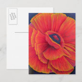 ビッグポピー 2003 ポストカード (正面/裏面)