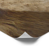 ビッグマウス獅子ポスタープリント ポスター (角)