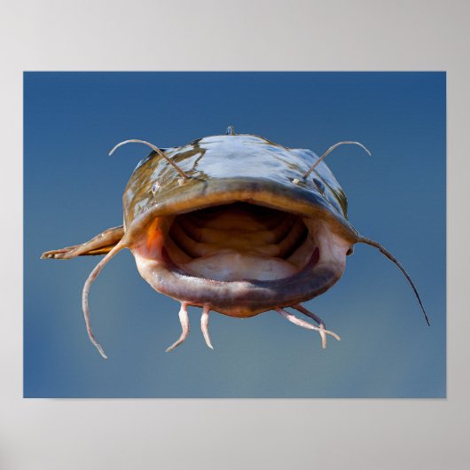 ビッグマウス魚釣り ポスター (正面)