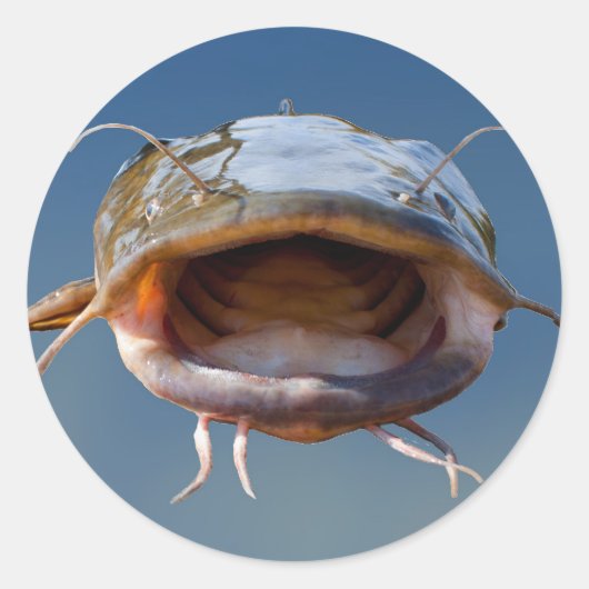 ビッグマウス魚釣り ラウンドシール (正面)