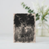 ビッグメドウズバック葉書 ポストカード (スタンド正面)