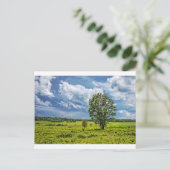 ビッグメドウズ ポストカード (スタンド正面)