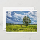 ビッグメドウズ ポストカード (正面/裏面)