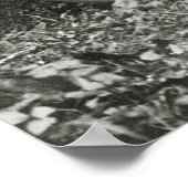 ビッグラグーンでの日のキャッチ, 1908 ポスター (角)