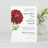 ビッグレッドキク招待状 招待状 (スタンド正面)