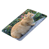 ビッグレッド虎猫 マグネット (左側)