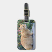 ビッグレッド虎猫 ラゲッジタグ (正面縦)