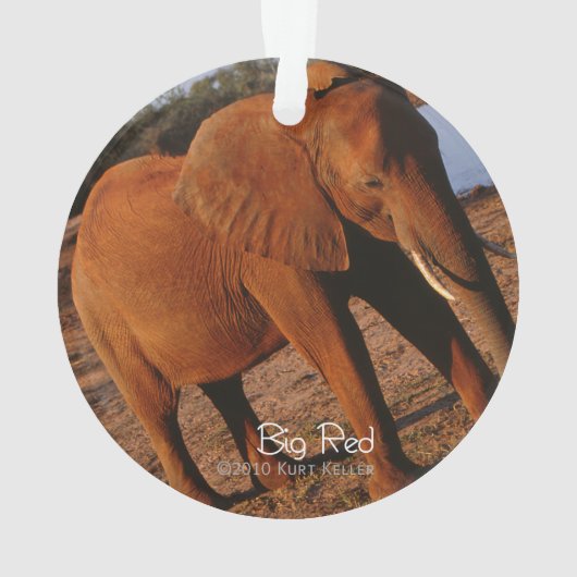 ビッグレッド オーナメント (裏面)