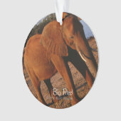 ビッグレッド オーナメント (正面)