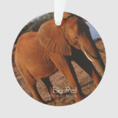 ビッグレッド オーナメント (正面)