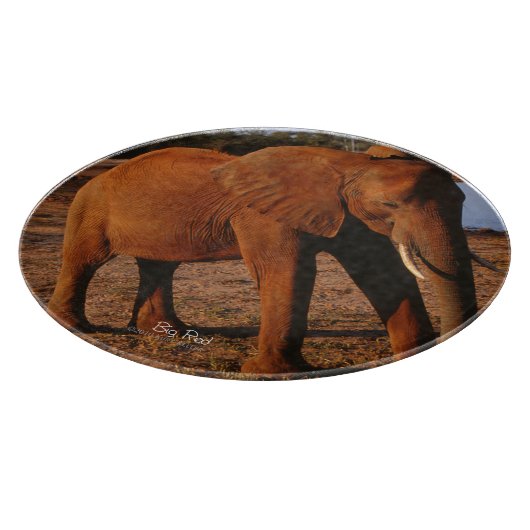 ビッグレッド カッティングボード (角)