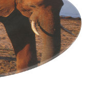 ビッグレッド カッティングボード (角)