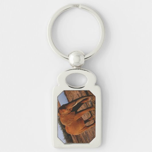 ビッグレッド キーホルダー (正面)