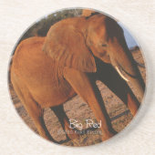 ビッグレッド コースター (正面)