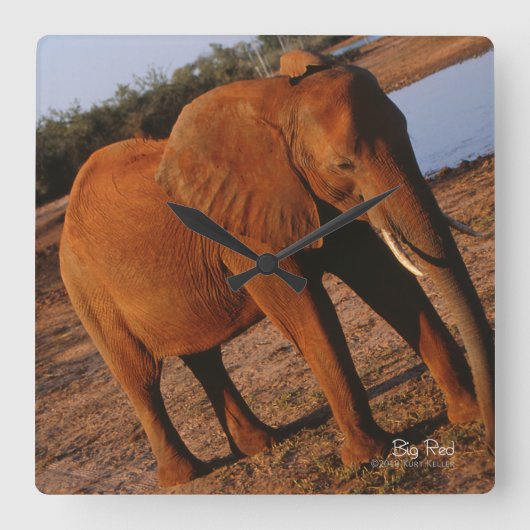 ビッグレッド スクエア壁時計 (正面)