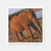 ビッグレッド スタンダードカクテルナプキン (正面)