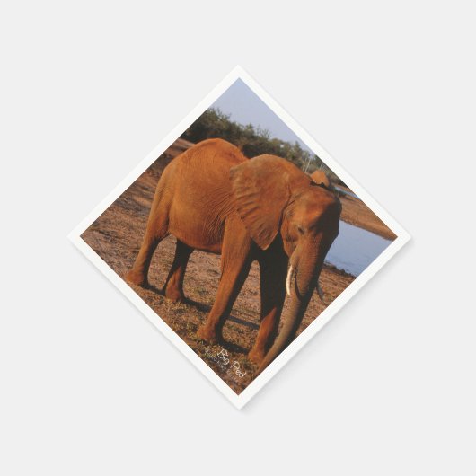 ビッグレッド スタンダードカクテルナプキン (角)