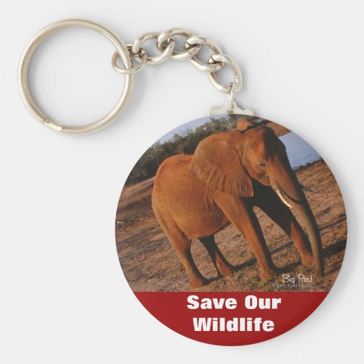 ビッグレッド セイブアワーワイルドライフ キーチェーン (正面)