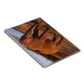 ビッグレッド ノートブック (右側)