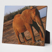 ビッグレッド フォトプラーク (側面)