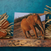 ビッグレッド フォトプラーク (側面)