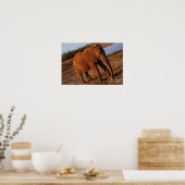 ビッグレッド ポスター (キッチン)