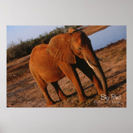 ビッグレッド ポスター