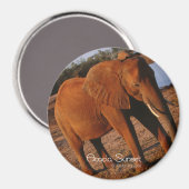 ビッグレッド マグネット (正面/裏面)