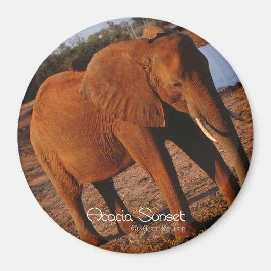 ビッグレッド マグネット (正面)