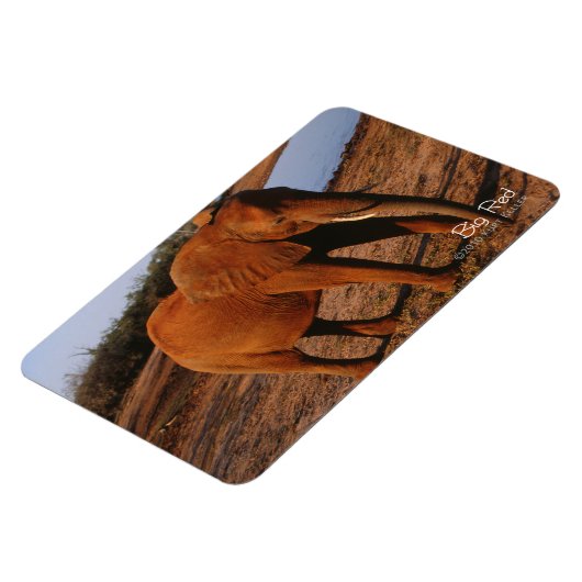 ビッグレッド マグネット (左側)