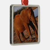 ビッグレッド メタルオーナメント (右)