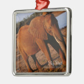 ビッグレッド メタルオーナメント (左)