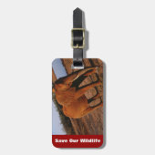 ビッグレッド ラゲッジタグ (正面縦)