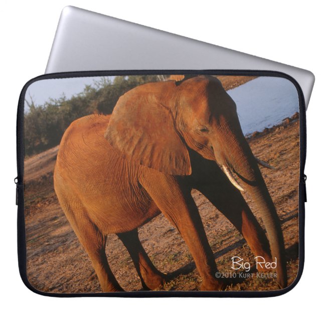 ビッグレッド ラップトップスリーブ (正面)